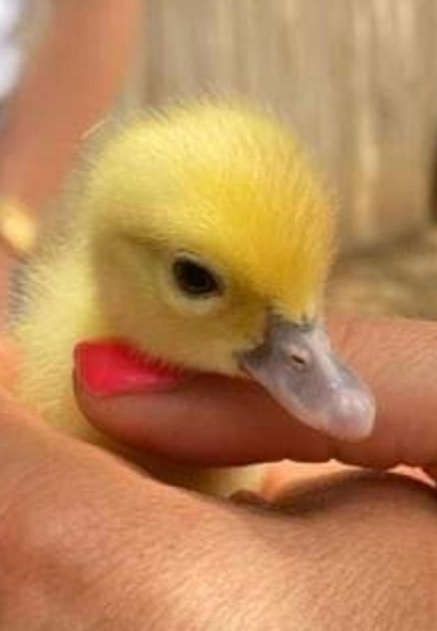 Willa Sejour A La Ferme Jouques Zewnętrze zdjęcie