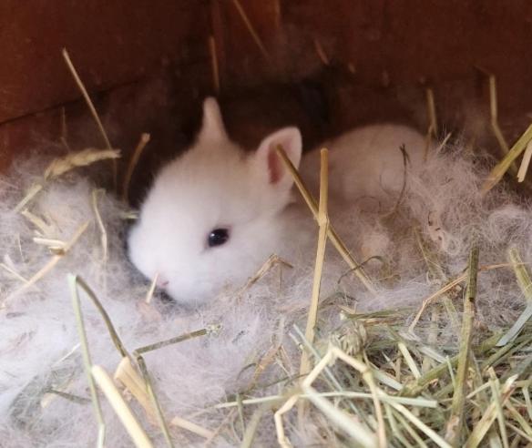 Willa Sejour A La Ferme Jouques Zewnętrze zdjęcie