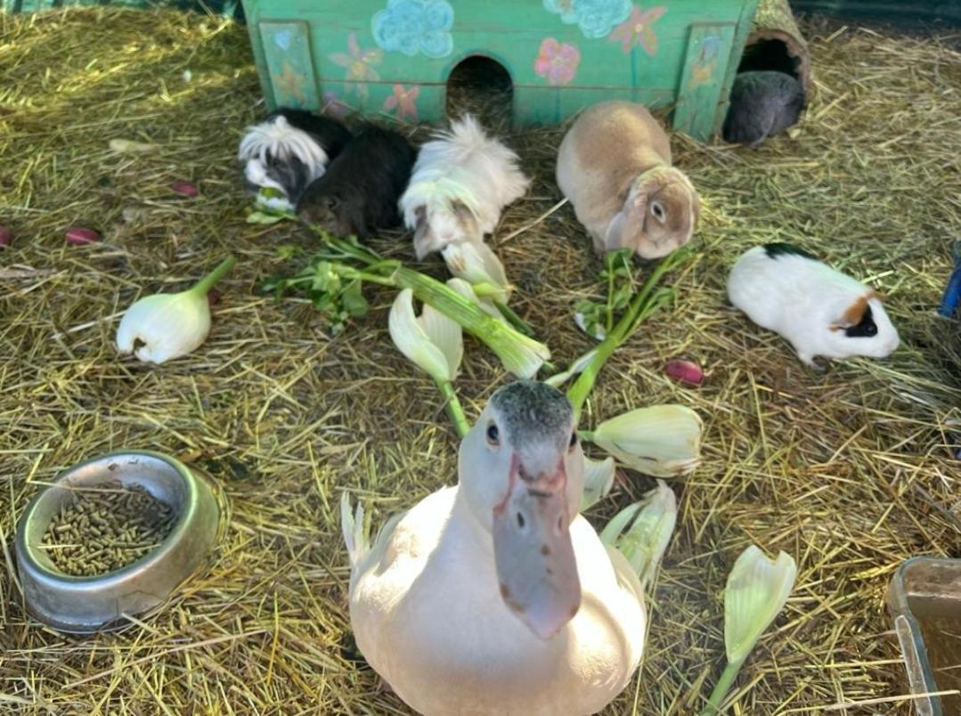 Willa Sejour A La Ferme Jouques Zewnętrze zdjęcie