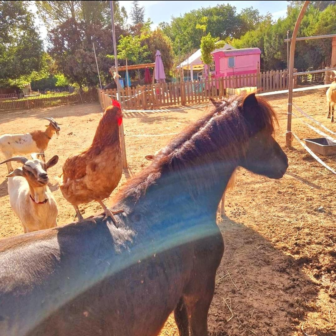 Willa Sejour A La Ferme Jouques Zewnętrze zdjęcie